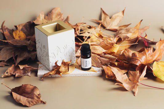 Autumn Elegance: The Best-Selling Stone Scent